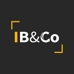 IB&Co Accountants on YouTube